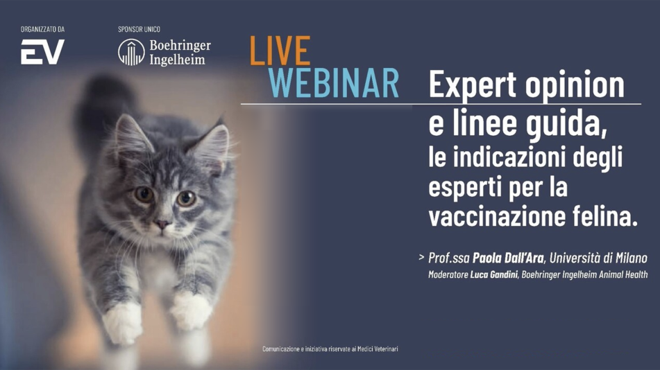 Webinar Expert Opinion